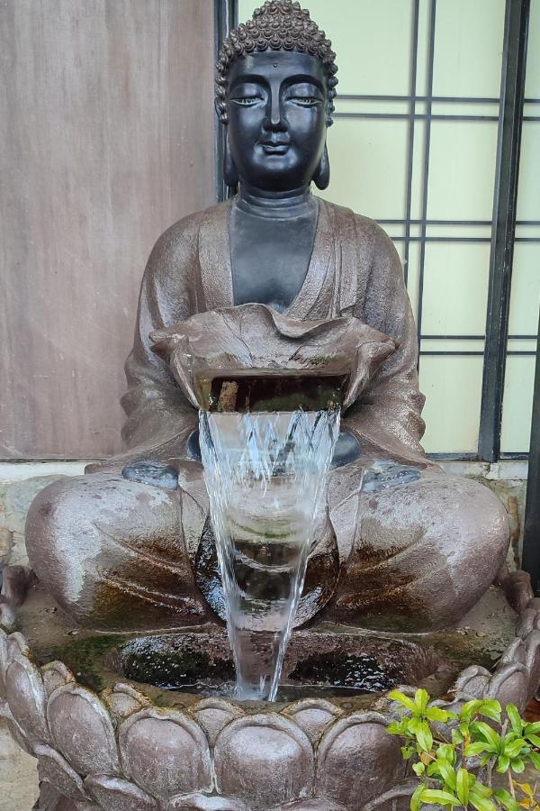 Zen Guest House - Museu Do Bonsai سينترا المظهر الخارجي الصورة