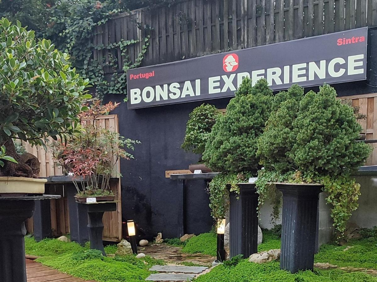 Zen Guest House - Museu Do Bonsai سينترا المظهر الخارجي الصورة